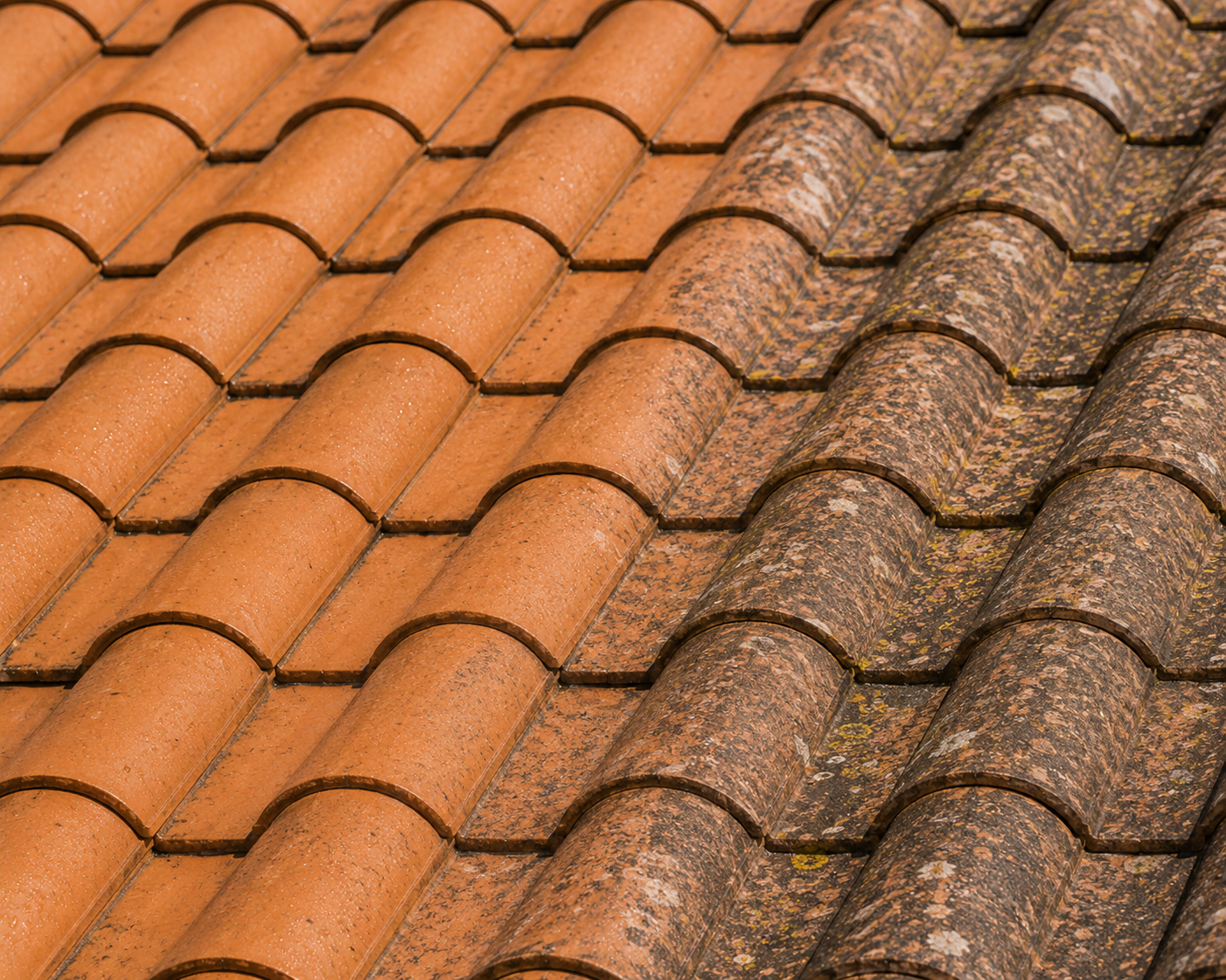 Close-up of a Spanish tile roof: algae-stained tiles beside freshly soft-washed clean tiles